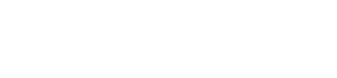 Ford Nima
